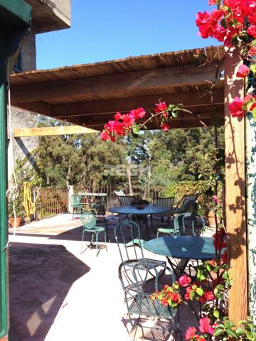 San-Giuliano (20230) Maison, Situation, Vue et Surfaces Rare