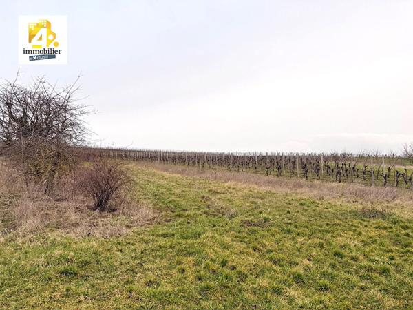 Terrain - 899 m²