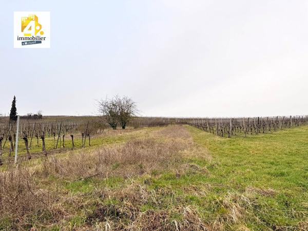 Terrain - 899 m²