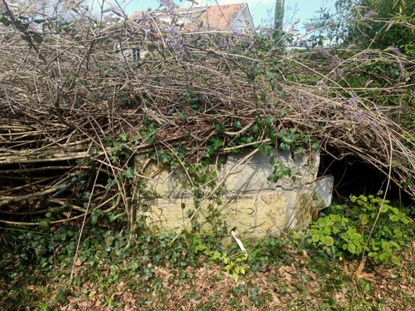 🏡 Maison en pierre 140 m² + jardin – 289 000 €