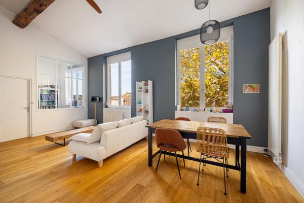 Duplex meublé et équipé avec vue Saône