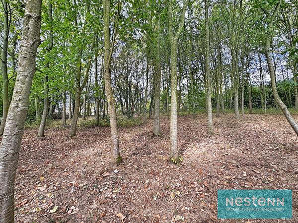Vente d'une longère en pierres 5 chambres avec grand terrain et garage en campagne de Planguenoual