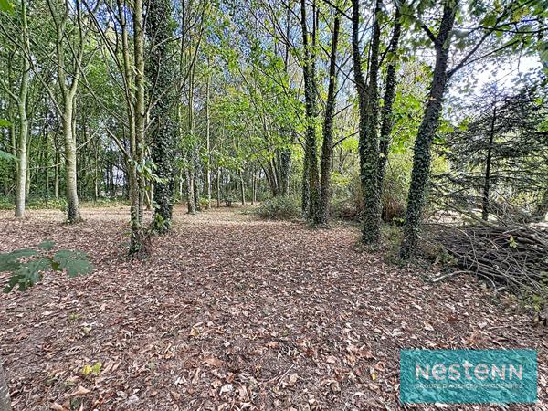 Vente d'une longère en pierres 5 chambres avec grand terrain et garage en campagne de Planguenoual