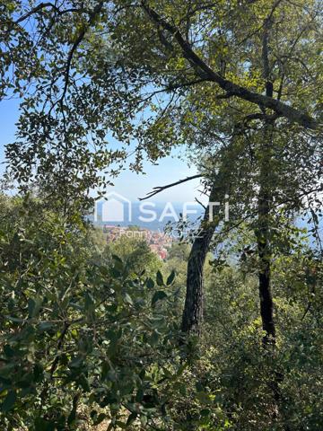 Terrain à Cabris 8522m2