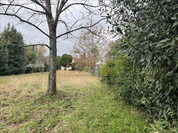 Terrain à vendre |  Dax |  975 m²