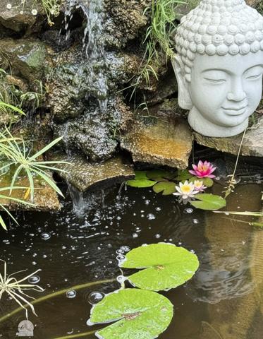 Saint-Laurent-de-la-Salanque (66250) Exclusivité – Villa de standing R+1 -T4 – 137 m² – Parcelle 641 m² – Environnement privilégié