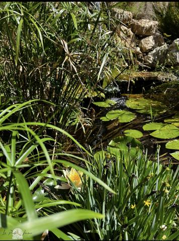 Saint-Laurent-de-la-Salanque (66250) Exclusivité – Villa de standing R+1 -T4 – 137 m² – Parcelle 641 m² – Environnement privilégié