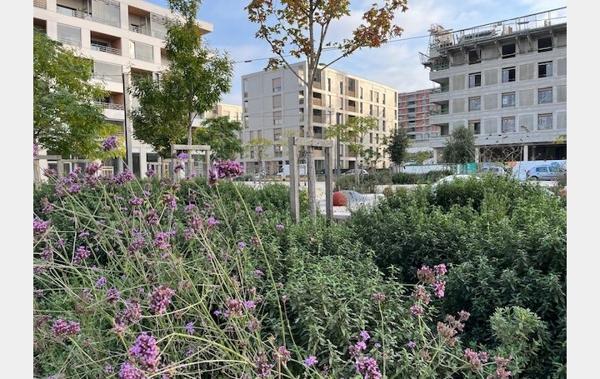 Vente Appartement P4 Dernier étage Lyon 3ème   