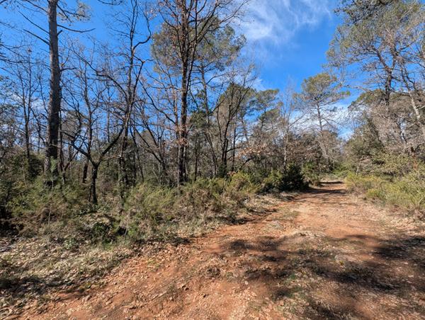 A VENDRE  83860 NANS LES PINS TERRAIN DE LOISIR 2533M²