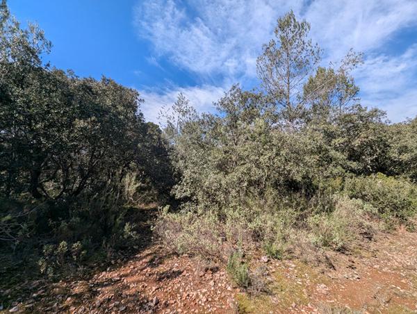 A VENDRE  83860 NANS LES PINS TERRAIN DE LOISIR 2533M²