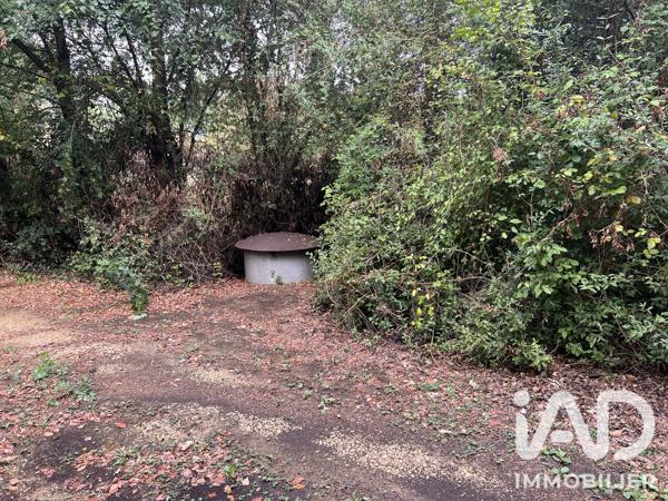 Terrain à vendre 10 199 m² Béruges