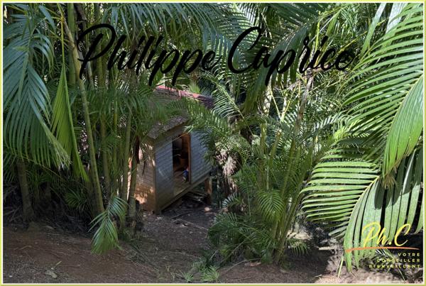 Maison à vendre 8 pièces LE FRANCOIS (972)