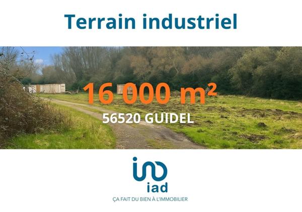 Murs commerciaux  à vendre 16 000 m² Guidel