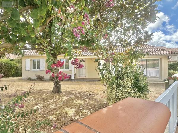 Achat - Maison Biscarrosse 40600 7 pièces 157 m 2 732 m 2