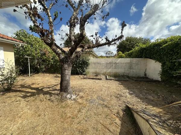Achat - Maison Biscarrosse 40600 7 pièces 157 m 2 732 m 2