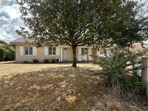 Achat - Maison Biscarrosse 40600 7 pièces 157 m 2 732 m 2