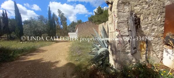 Demeure de prestige Sigean 17 pièce(s) 439 m2