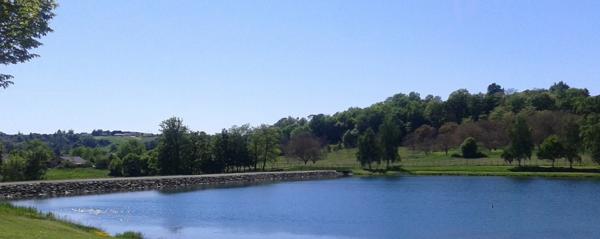 Dpt Dordogne (24), à vendre proche de THIVIERS plain-pied 3 chambres sur sous-sol P8 de 177 m² - Terrain de 2142 m² - Studio Indépendant