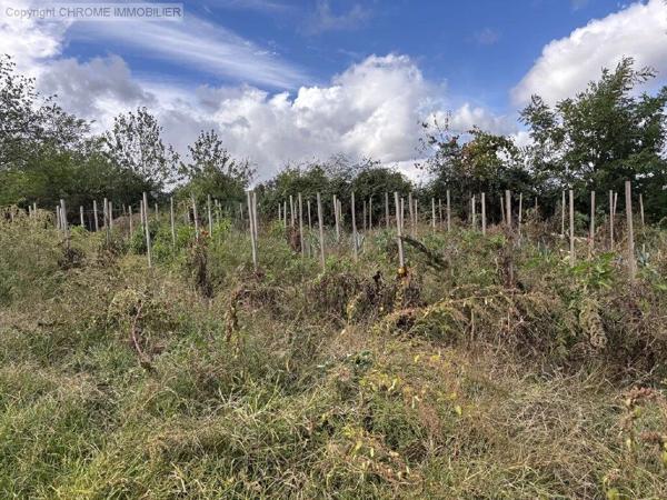 Vente                                                      Maison
                        
                     5 pièces                      102 m2                     à Marmande