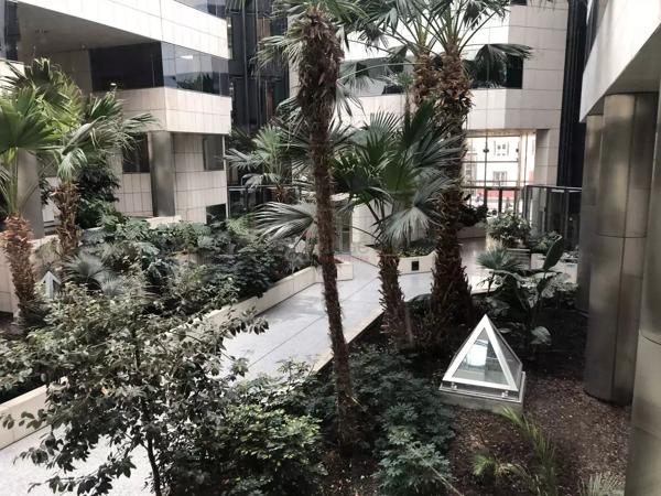BUREAUX LYON 6ème