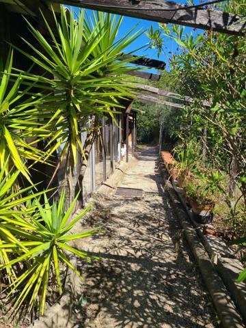 Vente Terrain 2600 m2 à Nice