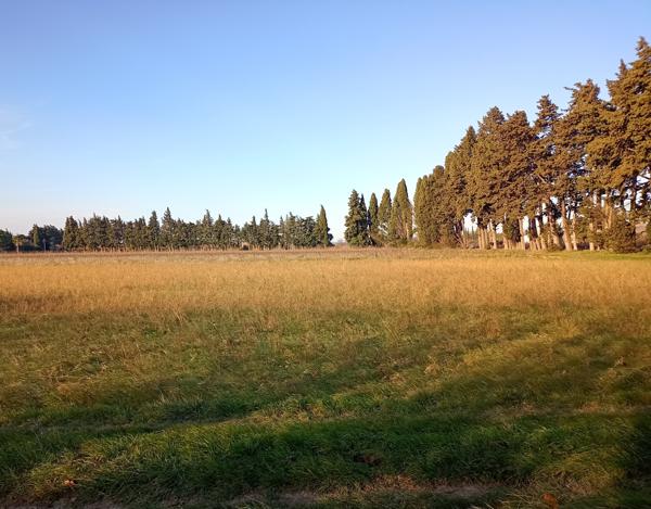 Maison 7 pièces - 188 m² Exclusivité efficity