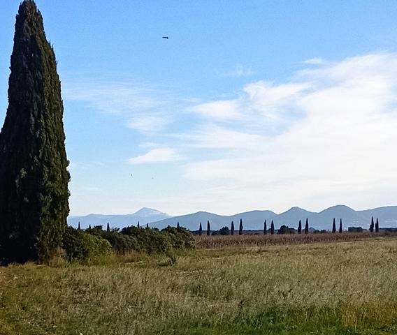 Maison 7 pièces - 188 m² Exclusivité efficity