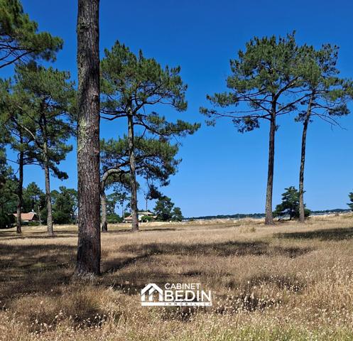 Achat Appartement T2 Lege Cap Ferret 1 chambre
