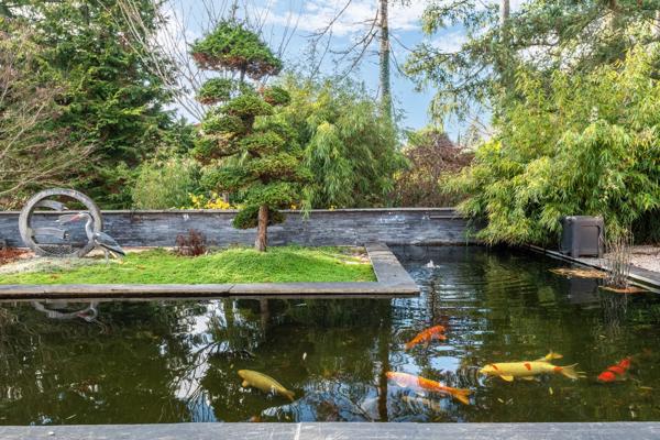 Ecully - Maison familiale d'environ 283 m² - Parc de 4600 m² avec piscine - 5 chambres - Garages