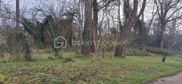 Situé sur la commune de Pressigny les Pins à 5 minute de la gare de NOGENT 
Au rez de chaussée : salon séjour avec grande cheminée ouverte , cuisine aménagée est équipé avec accès jardin , salle de bain avec douche est baignoire ,WC, chambre , coin bureau et dressing.
Attenant à la maison grand garage avec grenier.
A l'étage palier desservant 2 chambres .

Terrain attenant de 400 m²

En face de la maison 2 terrains 1 de 800m² l'autre de 200m²