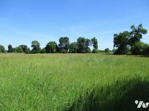 Terrain avec une partie constructible de 2658 m².