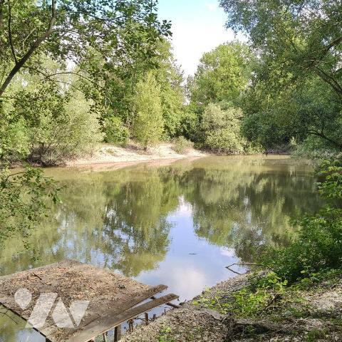 MASON A VENDRE AVEC ETANG PRIVE - au coeur de Troyes (10000) dans l'Aube (10)

- Maison des a...