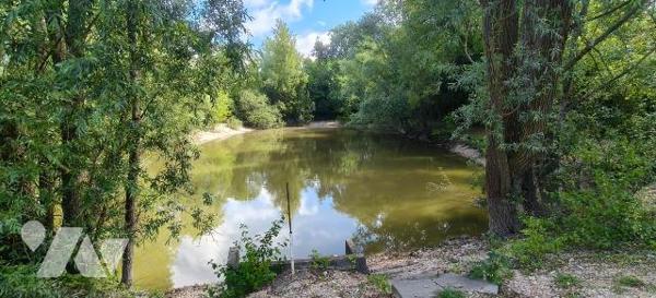 MASON A VENDRE AVEC ETANG PRIVE - au coeur de Troyes (10000) dans l'Aube (10)

- Maison des a...