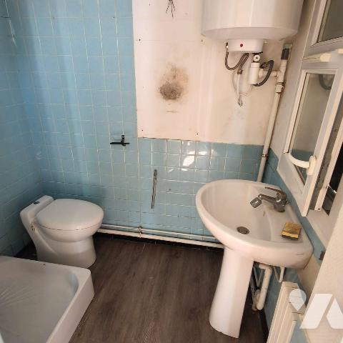 MASON A VENDRE AVEC ETANG PRIVE - au coeur de Troyes (10000) dans l'Aube (10)

- Maison des a...