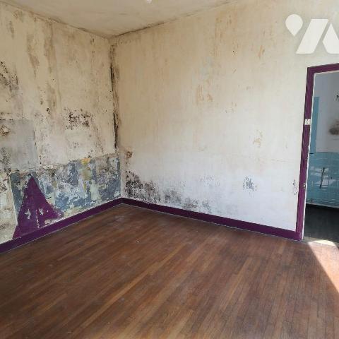 MASON A VENDRE AVEC ETANG PRIVE - au coeur de Troyes (10000) dans l'Aube (10)

- Maison des a...