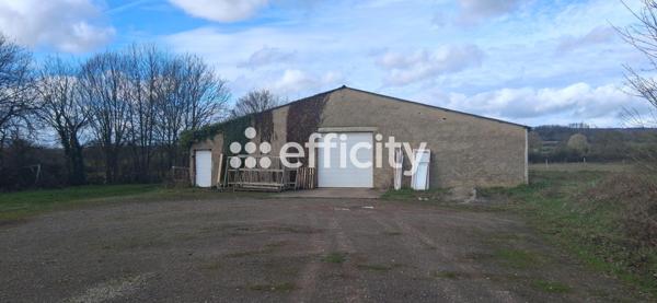 Local Commercial - 600 m²