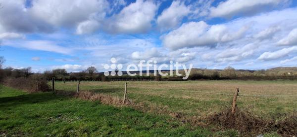 Local Commercial - 600 m²