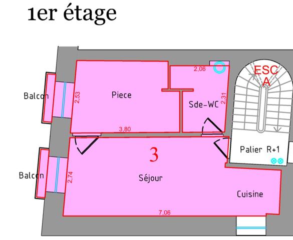 Appartement T2 traversant rénové avec Balcon - Hyper centre