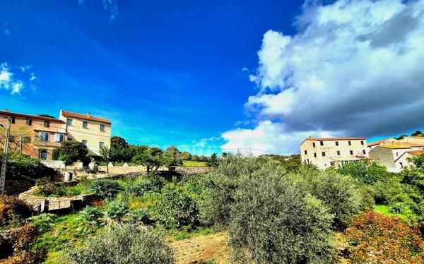 A vendre maison de village atypique - 6 pièces - 2 Dépendances - Haute-Corse Olmi Cappella 20259