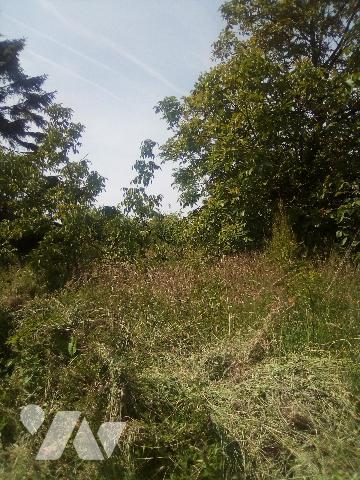 Terrain de loisirs, avec une partie boisée.