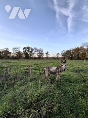 MAISON A VENDRE LA FLECHE