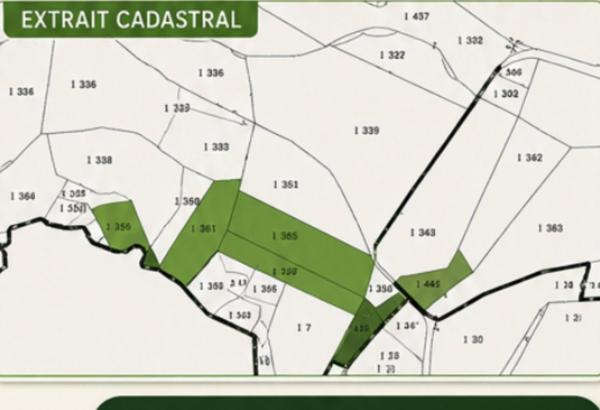 Propriété agricole et forestière