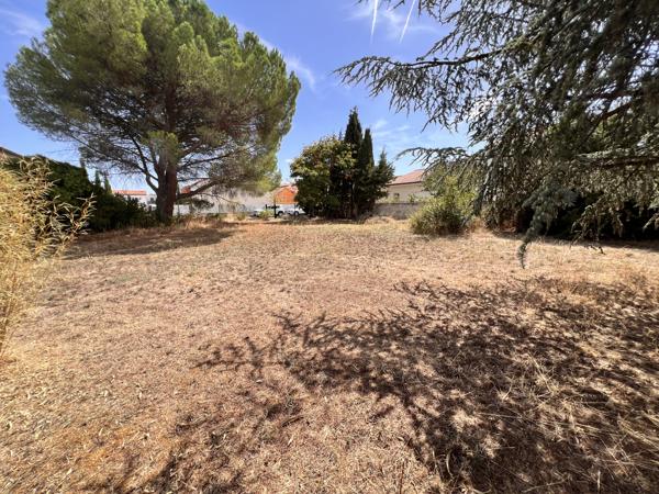 Toulouse Saint-Simon – Terrain à bâtir 1 700 m² dont 950 m² hors chemin
