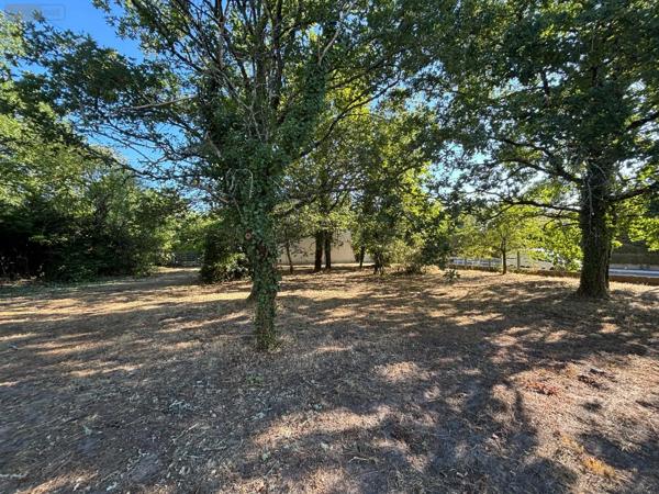 Achat - Terrain à bâtir | Terrain à bâtir Parempuyre 33290 858 m 2 858 m 2