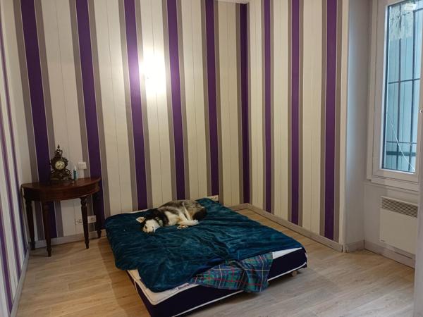 Local commercial – Murs et fonds avec logement