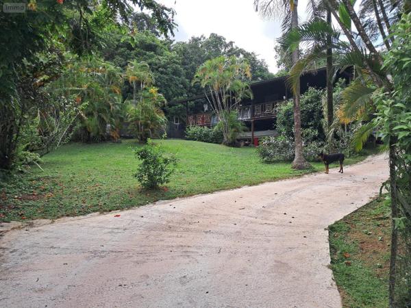 Maison individuelle à vendre à Remire-Montjoly en Guyane (97354), ref : 1009658
