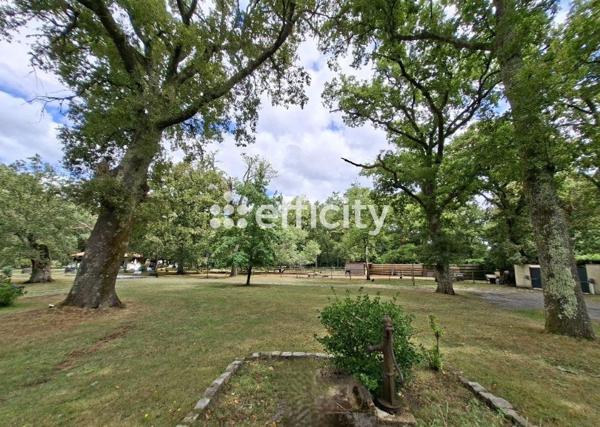 Maison 12 pièces - 262 m² Bien prestige