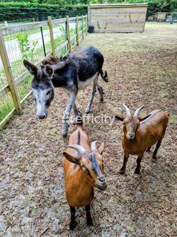 Maison 12 pièces - 262 m² Bien prestige