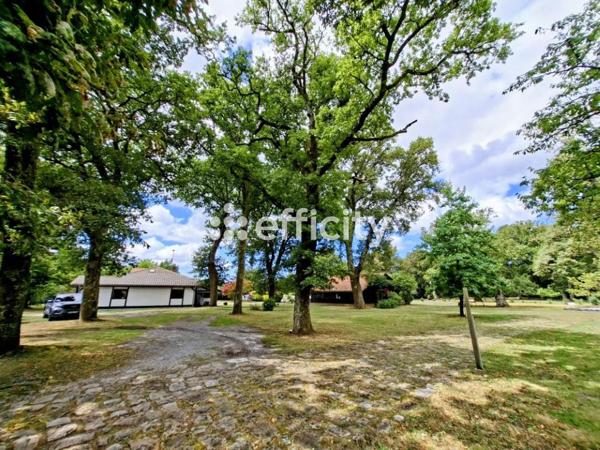 Maison 12 pièces - 262 m² Bien prestige