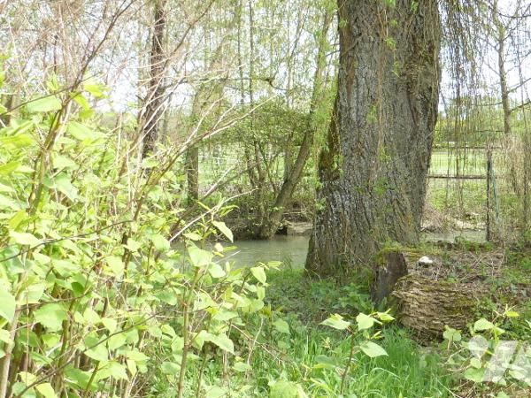 A 15 kms de VOUZIERS, Maison de 5 pièces principales avec garage et terrain de 631 m².